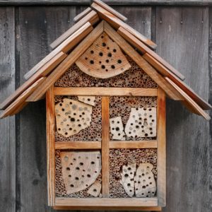 Bug hotels  where the good bugs can check in 